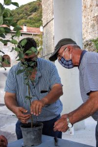 Proyecto variedades locales | Ayuntamiento de Arakil - Arakilgo Udala